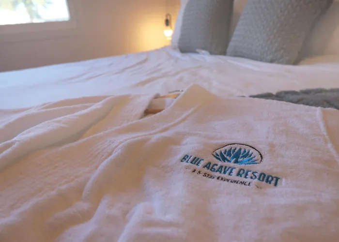 Blue Agave With Heated Pool & Outdoor Living Holiday home Phoenix